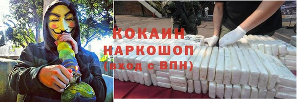 гидра Алексин