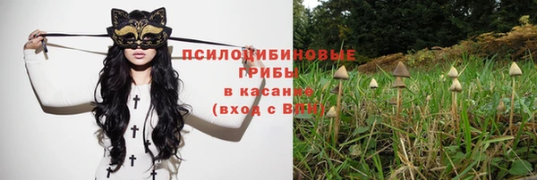 наркотики Алексеевка